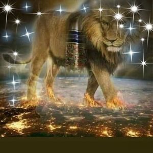 Meet your Posher, Soto